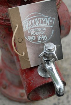 Brooklyn Journal